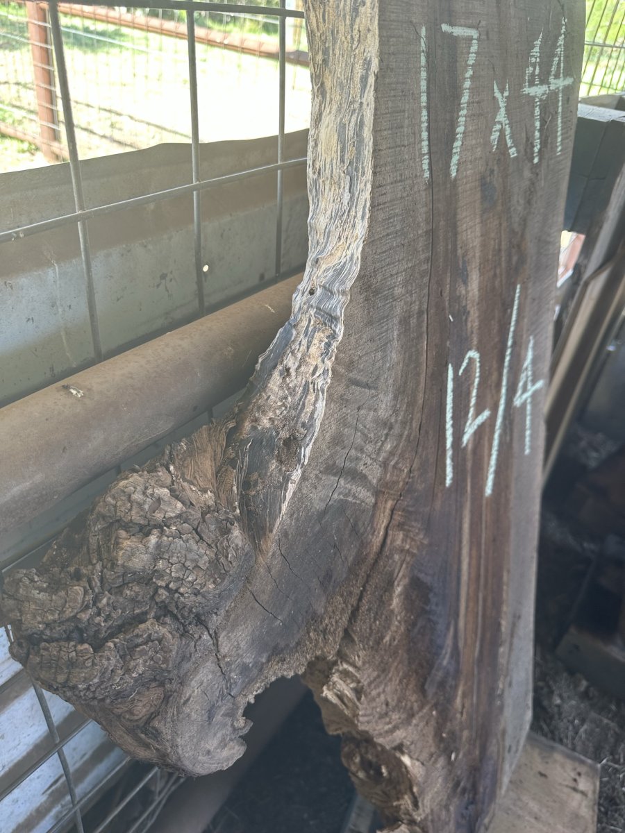 Main view of Black Walnut
