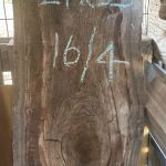 Black Walnut
